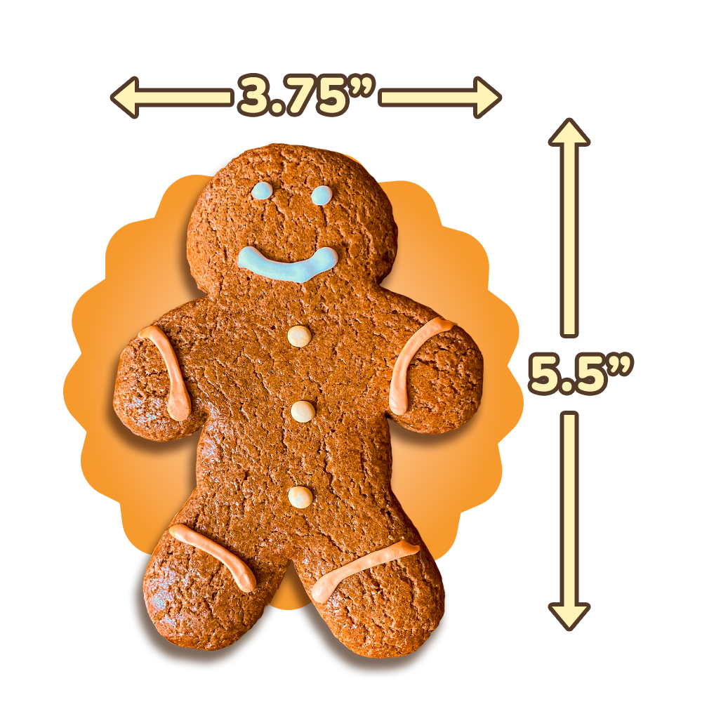 DIY Dinky Doozie Kits