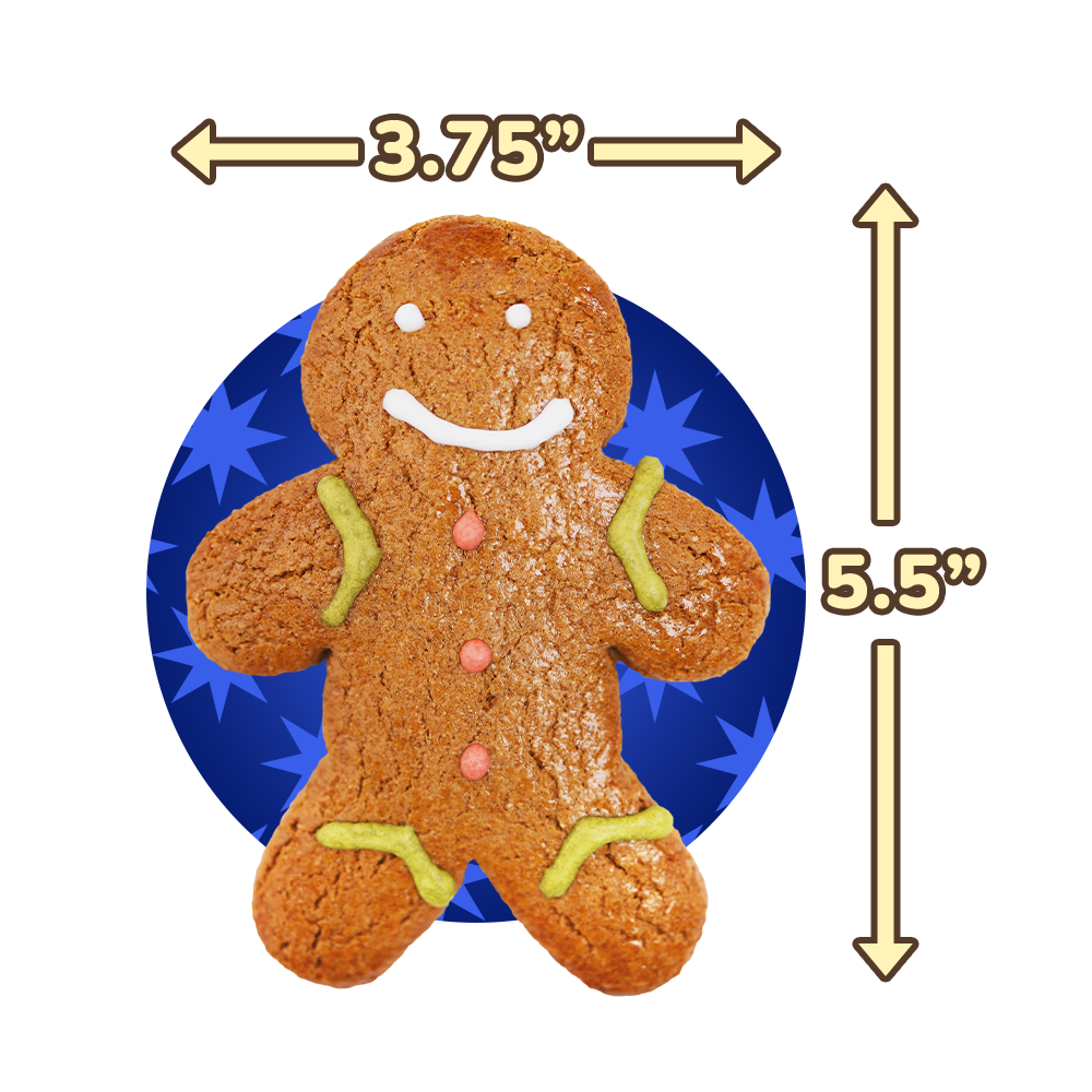 The 192 Gingerbread Big Party Pack