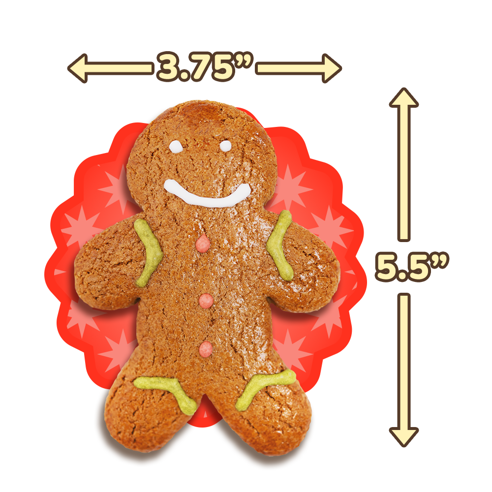 DIY Dinky Doozie Kits