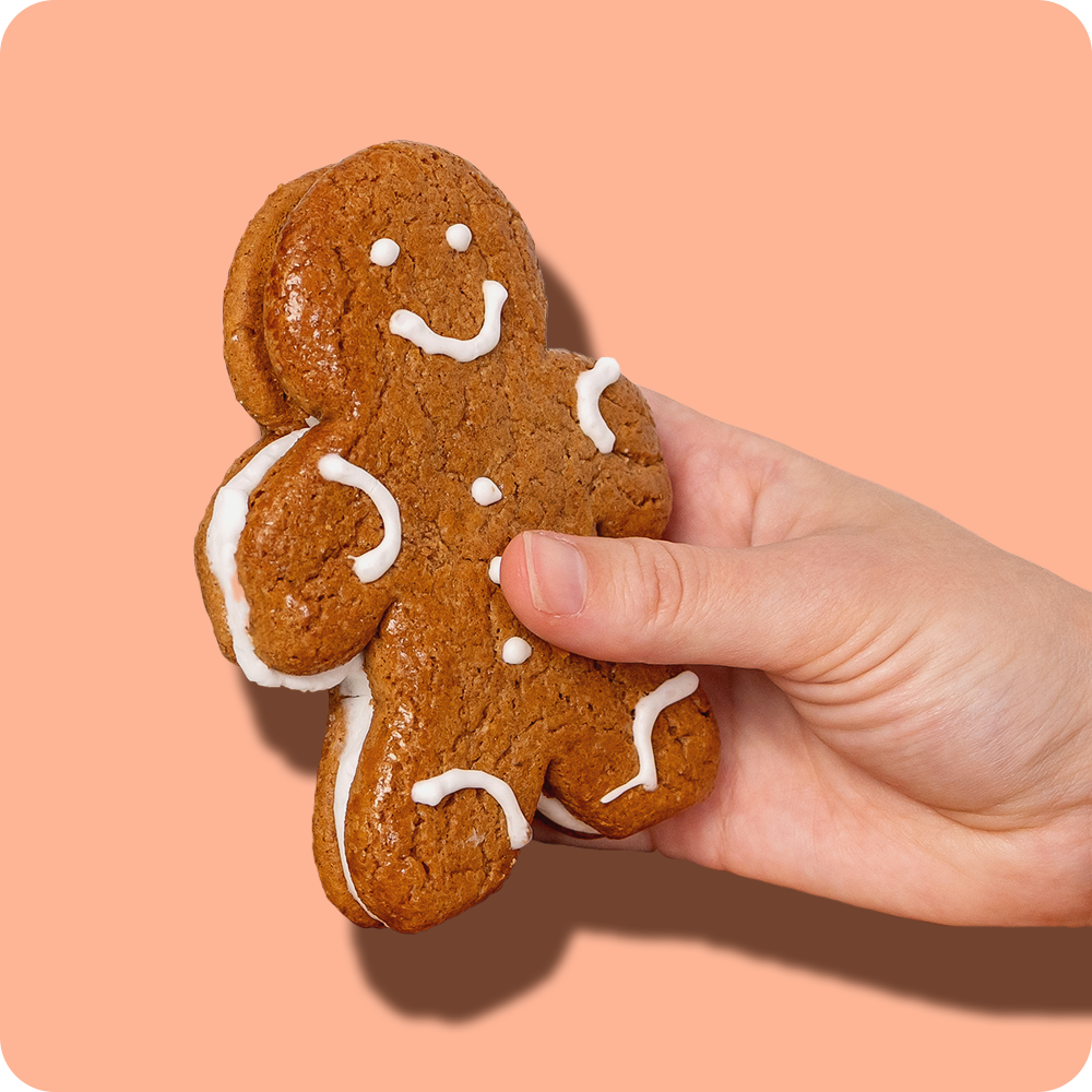 Classic Gingerbread Dinky Doozie