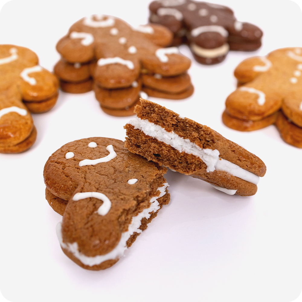 Classic Gingerbread Dinky Doozie