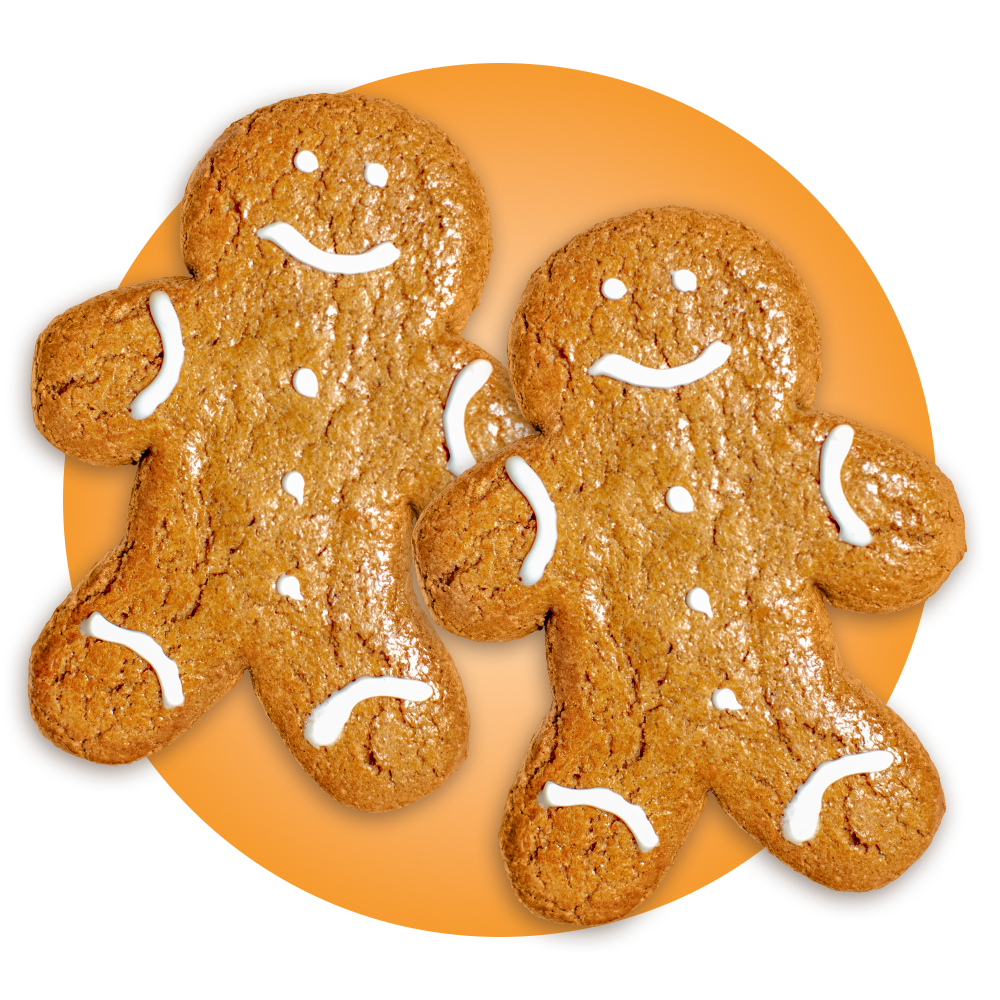 Gingerbread Twins Cookies