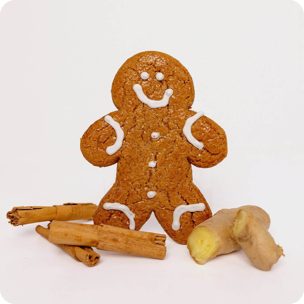Gingerbread Twins Cookies