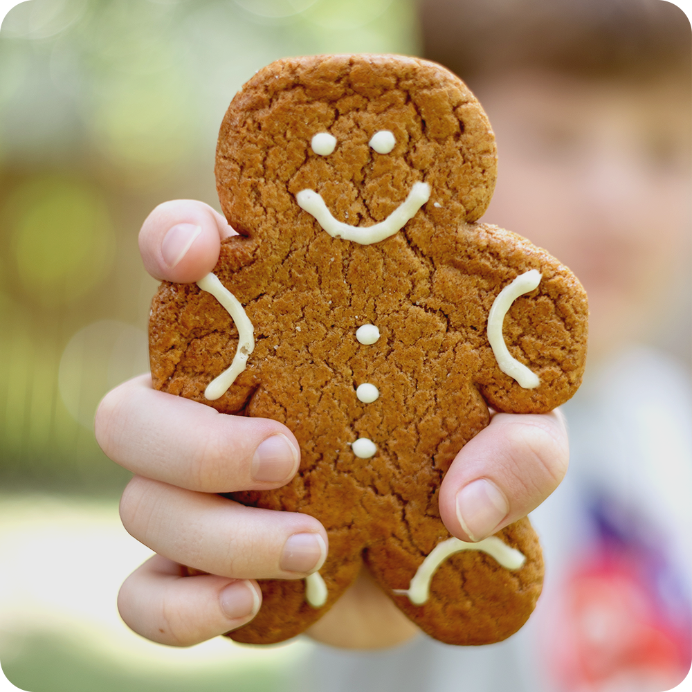 Gingerbread Twins Cookies