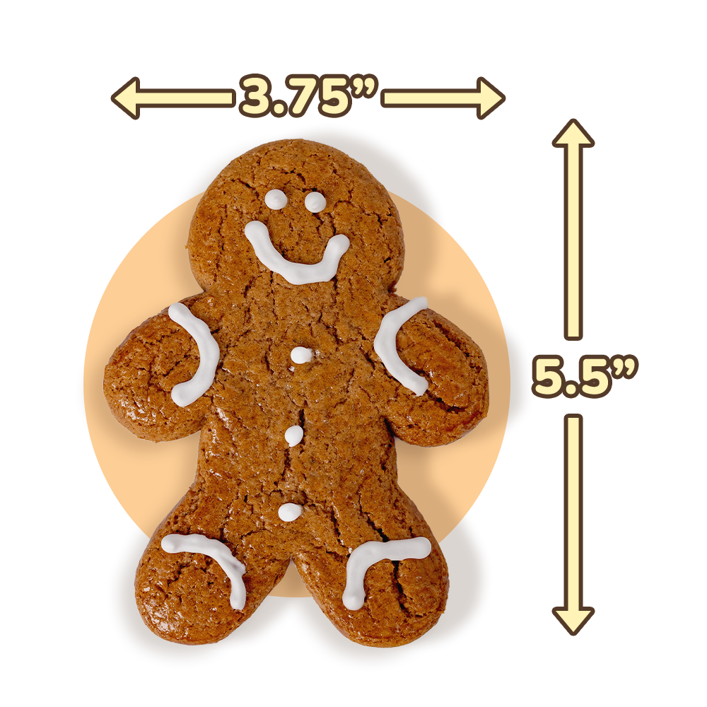 Gingerbread Twins Cookies