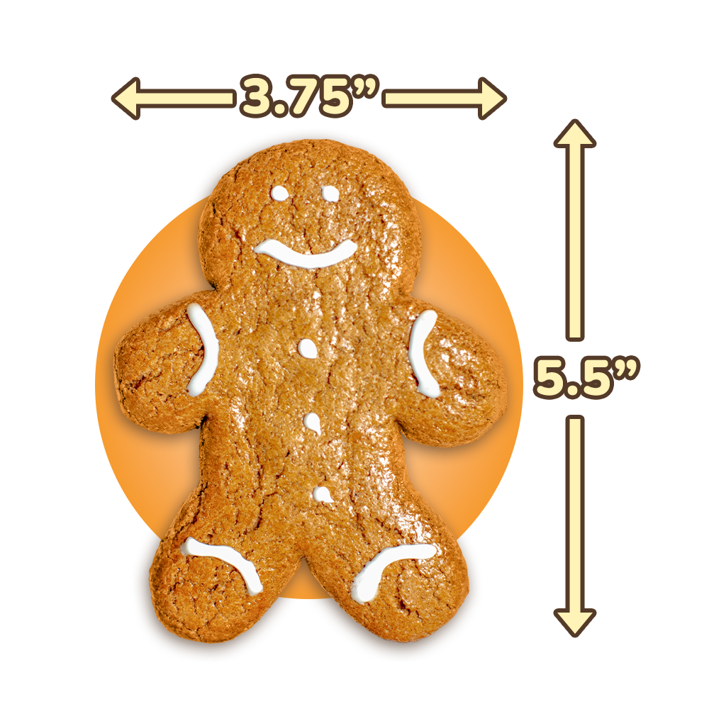 Gingerbread Twins Cookies