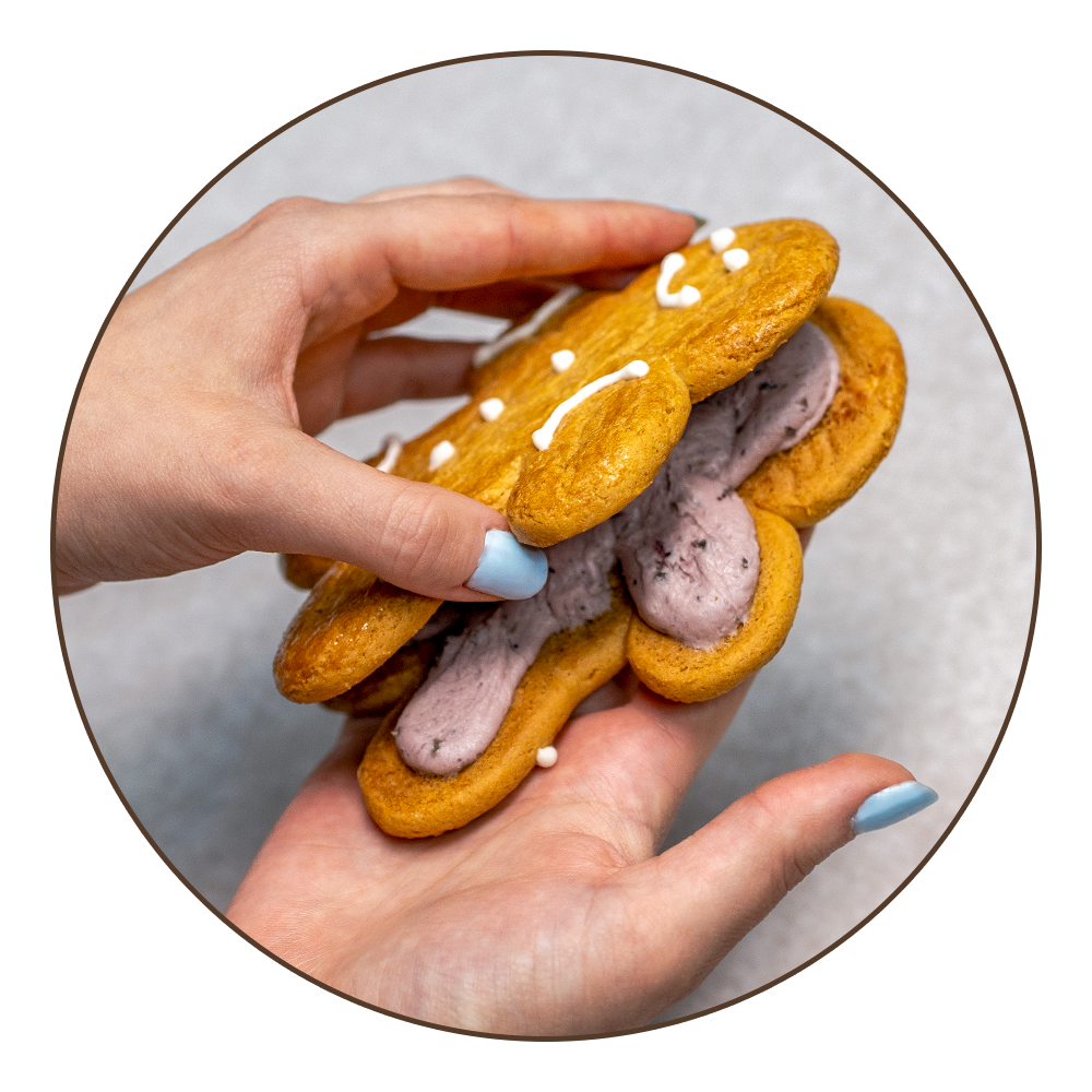 Lemon Blueberry Dinky Doozies