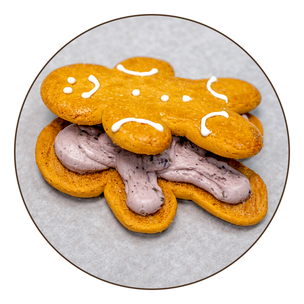 Lemon Blueberry Dinky Doozies (Limited Edition)
