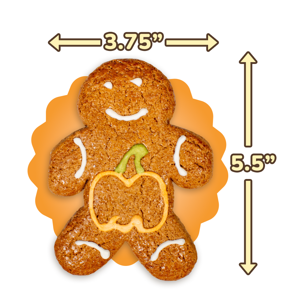 Pumpkin Patch Gingerbread Twins - Cookies