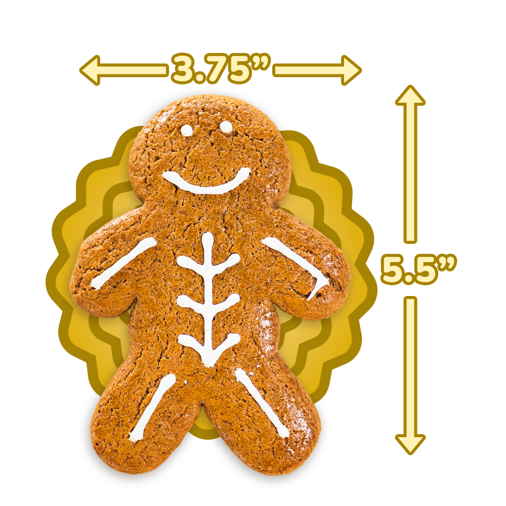 Scrumptious Skeleton Gingerbread Twins - Cookies