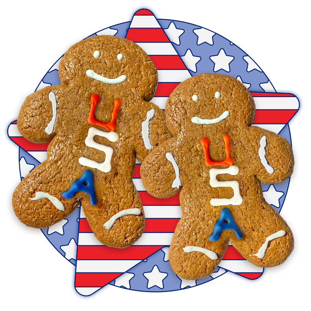 USA Gingerbread Twins Cookies