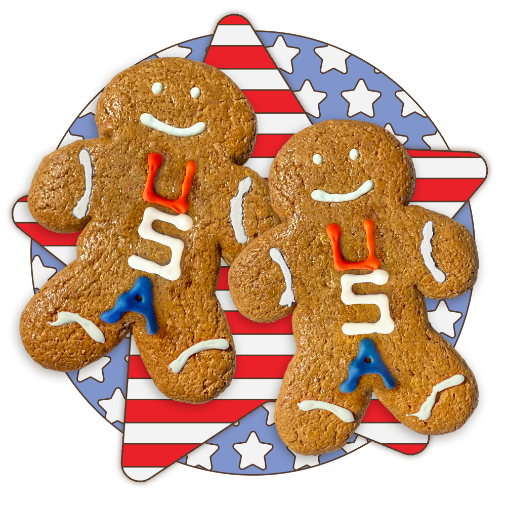 USA Gingerbread Twins Cookies