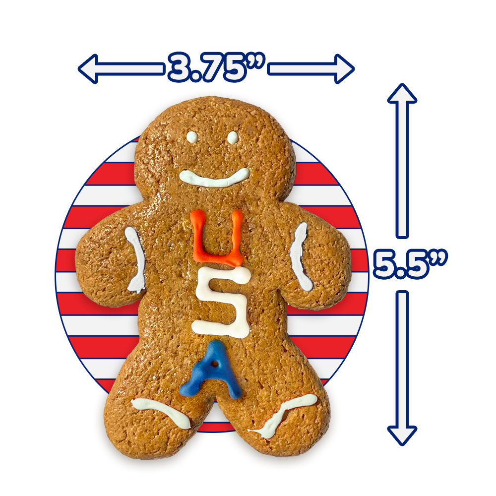 USA Gingerbread Twins Cookies