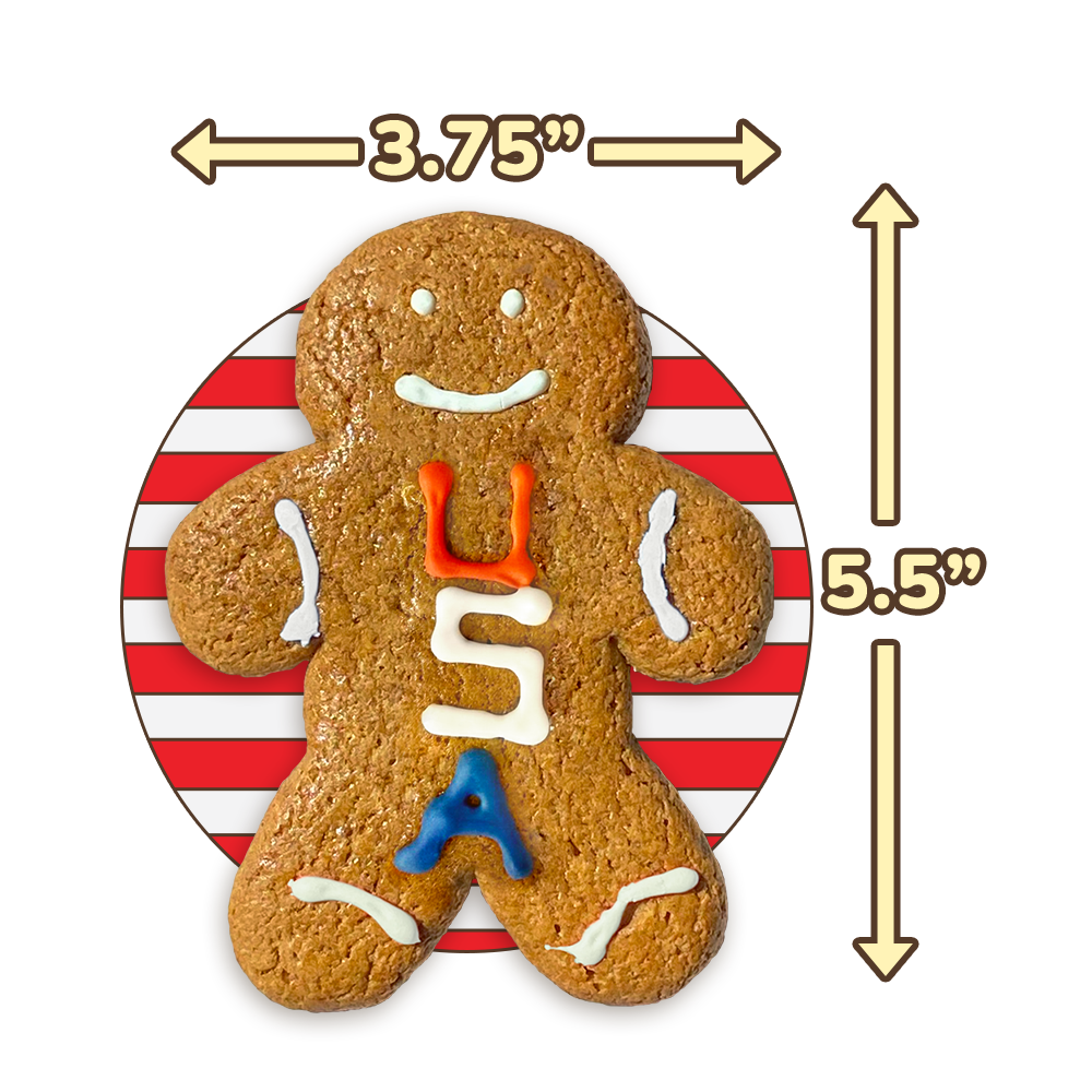 USA Gingerbread Twins Cookies
